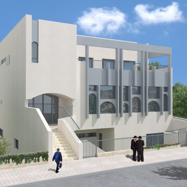 הדמיה 2