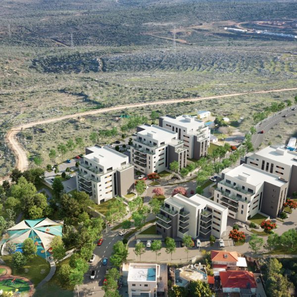 הדמיה ראשונה