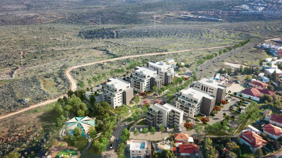 הדמיה ראשונה