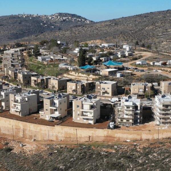 רחלים (1)