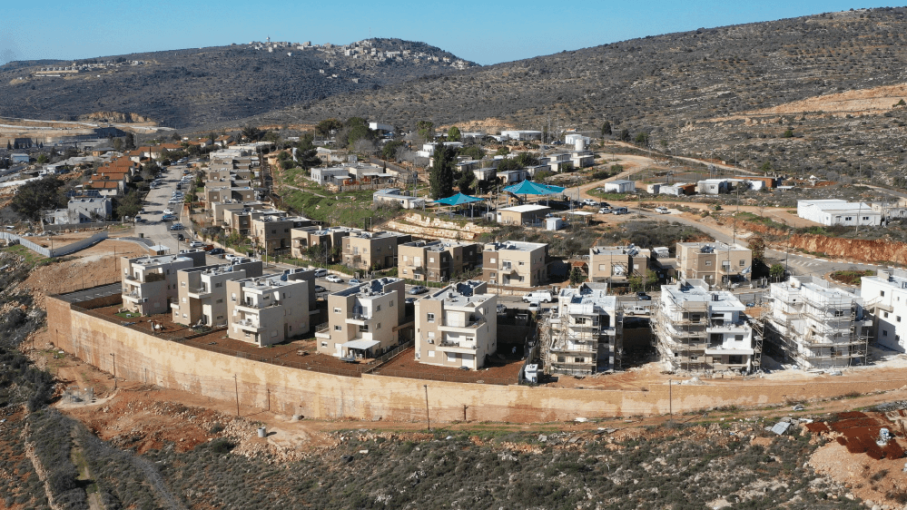 רחלים (1)