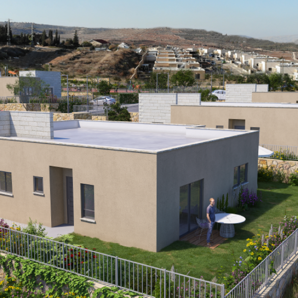 שחר הצעירה4